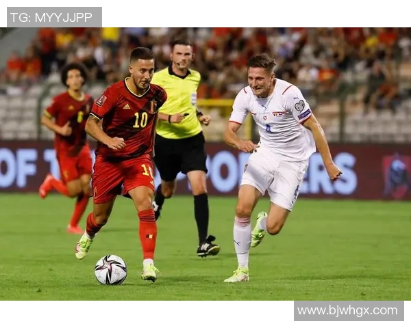 黑山足球明星盘点他们的成就与影响力分析